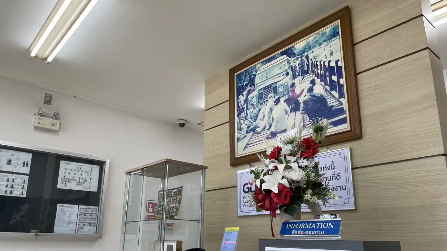 Manufacturing consultant